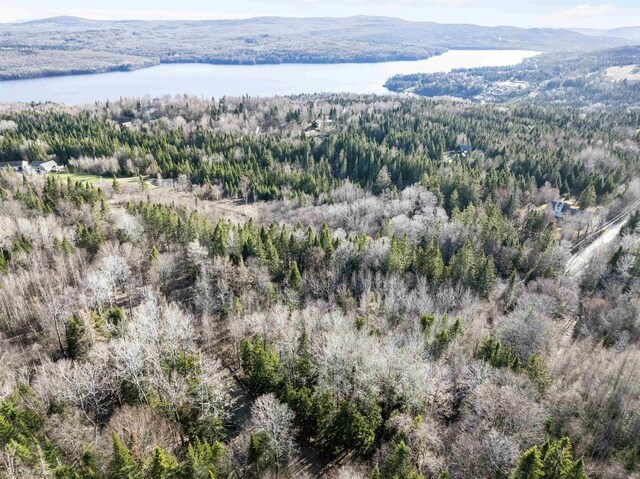 - Dorman Road, Pittsburg, NH 03592