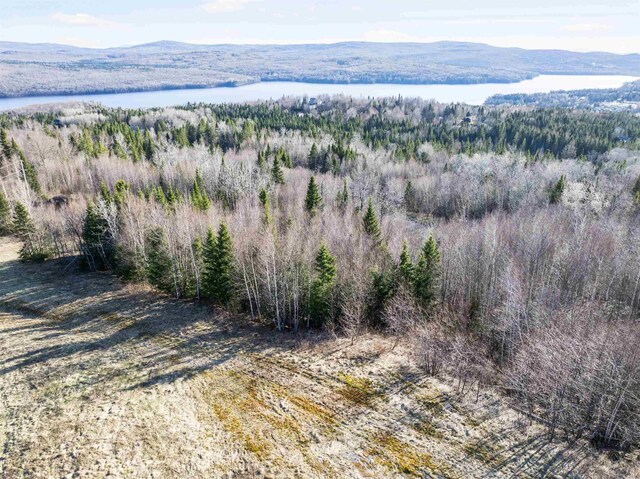- Dorman Road, Pittsburg, NH 03592