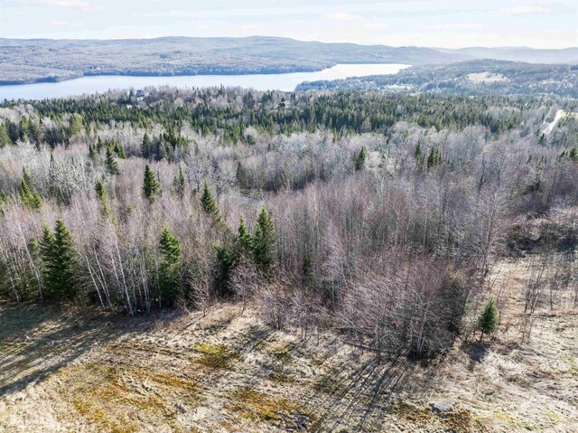 - Dorman Road, Pittsburg, NH 03592