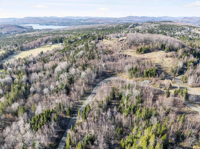 - Dorman Road, Pittsburg, NH 03592
