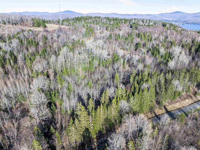 - Dorman Road, Pittsburg, NH 03592