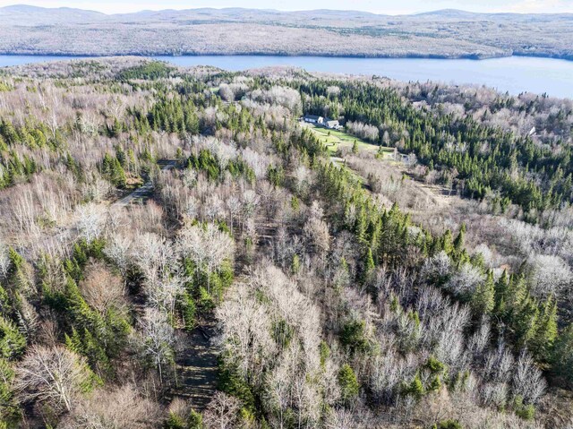- Dorman Road, Pittsburg, NH 03592