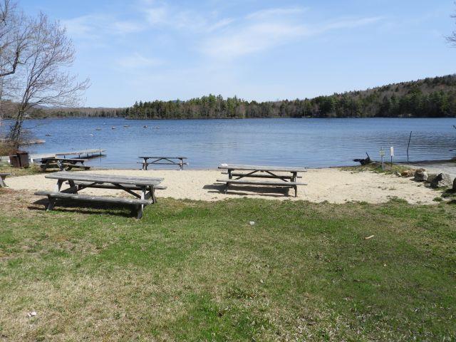 water view featuring a wooded view