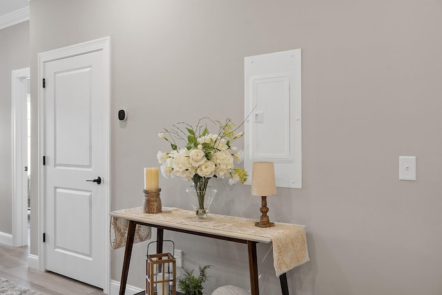 interior space with baseboards, light wood-style floors, and electric panel