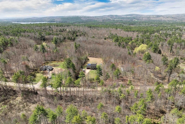 drone / aerial view with a view of trees