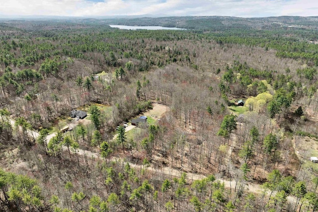 birds eye view of property with a forest view