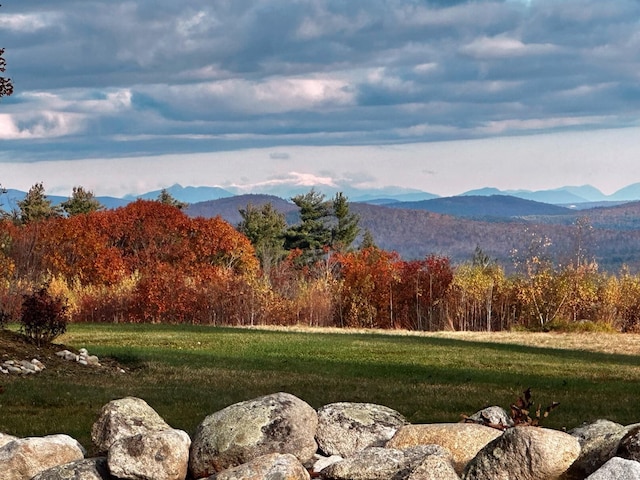 property view of mountains with a wooded view