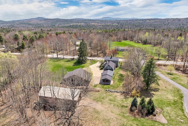 drone / aerial view featuring a wooded view and a mountain view