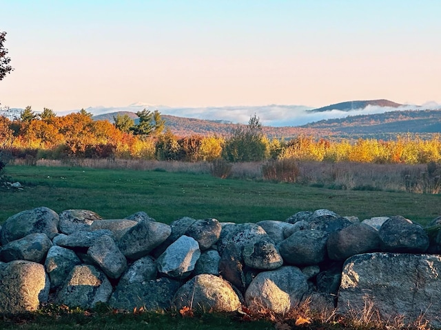 view of yard with a mountain view