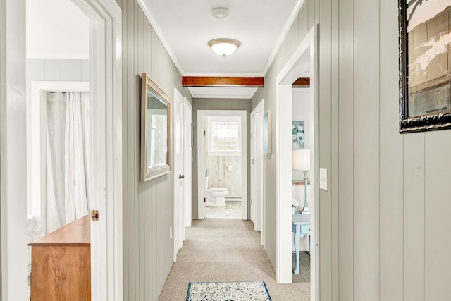 hallway with light colored carpet and ornamental molding