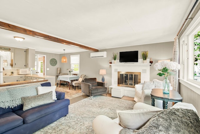 living room with a wall mounted AC and a glass covered fireplace