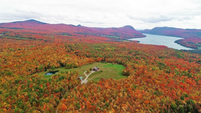 bird's eye view featuring a water and mountain view and a forest view