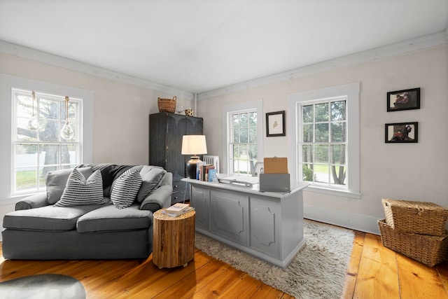 office area featuring crown molding, baseboards, and light wood-type flooring