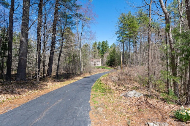 view of street with a wooded view