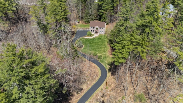 bird's eye view