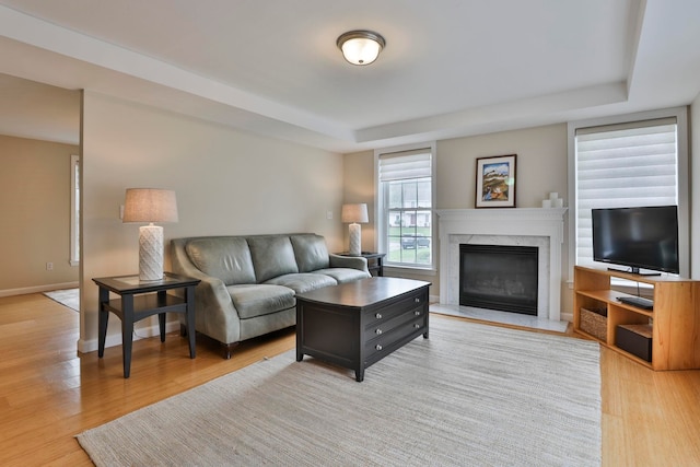 living area with baseboards, a raised ceiling, wood finished floors, and a fireplace