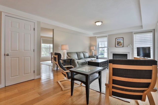living room featuring a premium fireplace, a tray ceiling, a healthy amount of sunlight, and light wood finished floors