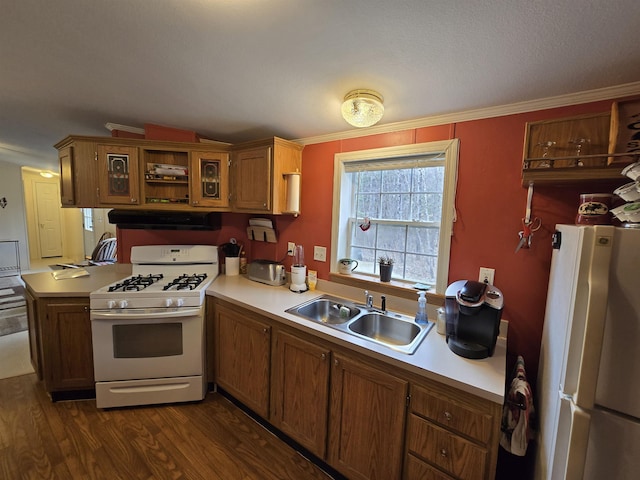 kitchen featuring a sink, white appliances, light countertops, under cabinet range hood, and dark wood-style floors