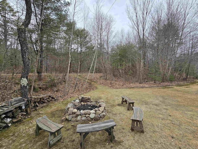 view of yard with an outdoor fire pit