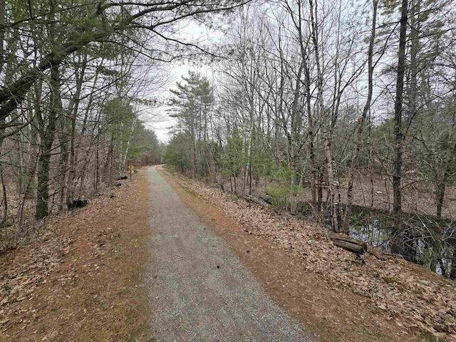 view of street with a wooded view