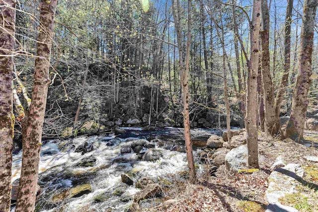 view of local wilderness