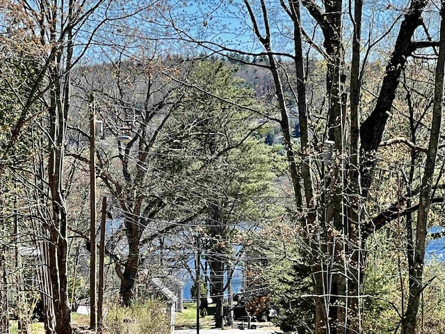 view of nature with a view of trees