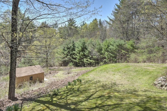 view of yard featuring a forest view and an outdoor structure