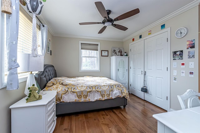 bedroom featuring crown molding, a ceiling fan, wood finished floors, and a closet
