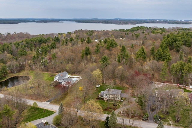 birds eye view of property with a water view and a forest view