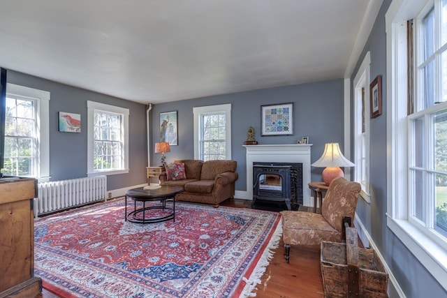 living room featuring baseboards, a fireplace with flush hearth, radiator heating unit, and wood finished floors