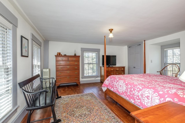 bedroom featuring baseboards, multiple windows, and dark wood-style flooring