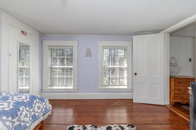 bedroom featuring multiple windows and hardwood / wood-style flooring