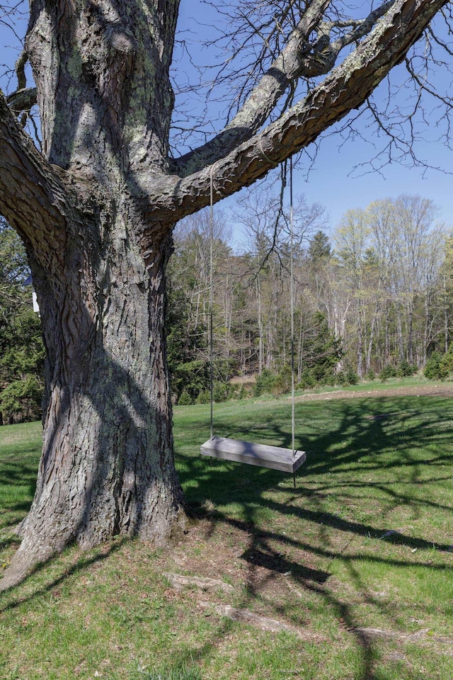 view of property's community with a lawn and a wooded view