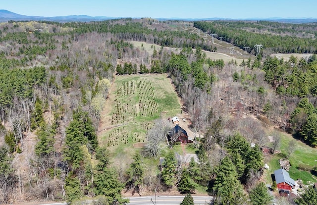 aerial view with a mountain view and a wooded view