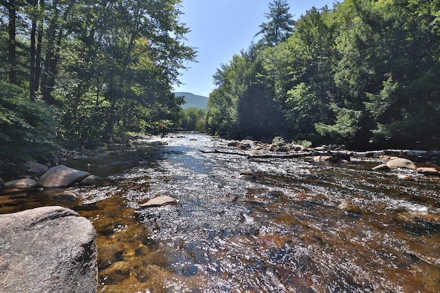 view of local wilderness featuring a forest view