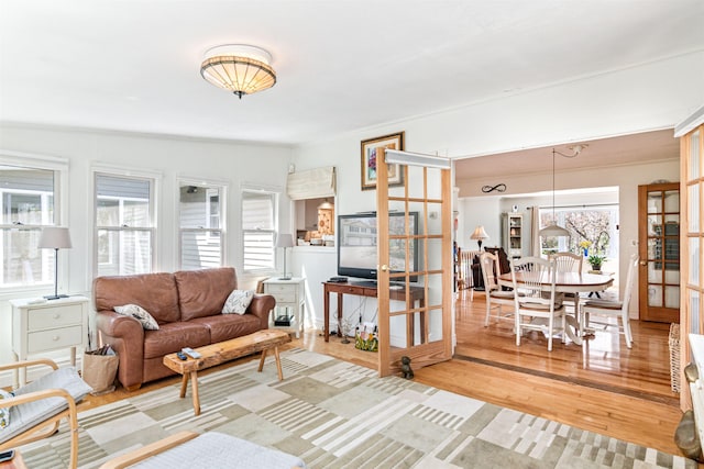 living area featuring french doors and wood finished floors
