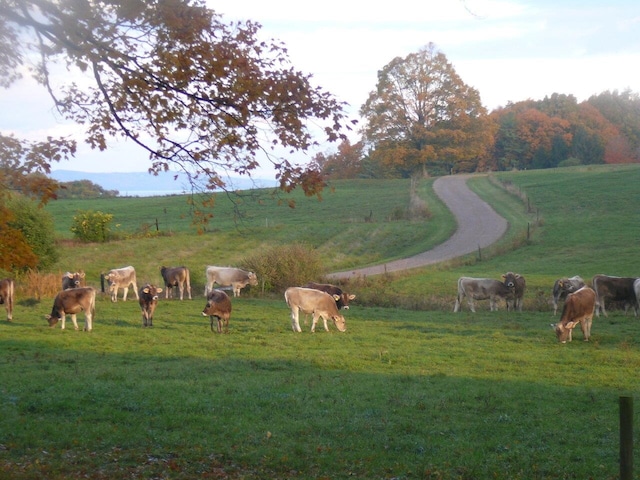 view of home's community with a rural view