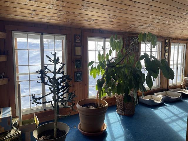 interior space with wood ceiling