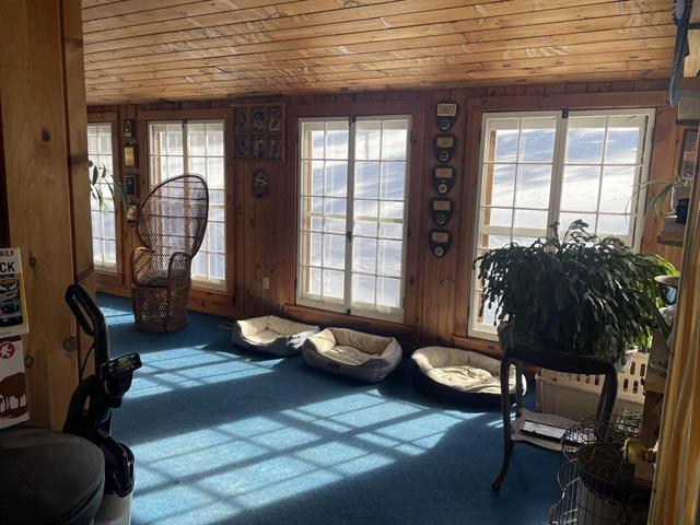 interior space with plenty of natural light, carpet, and wood ceiling