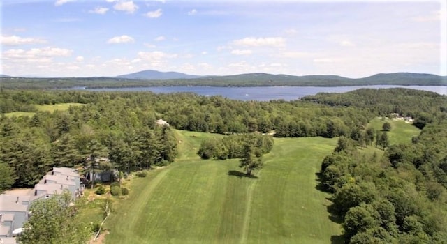birds eye view of property featuring a view of trees and a water and mountain view