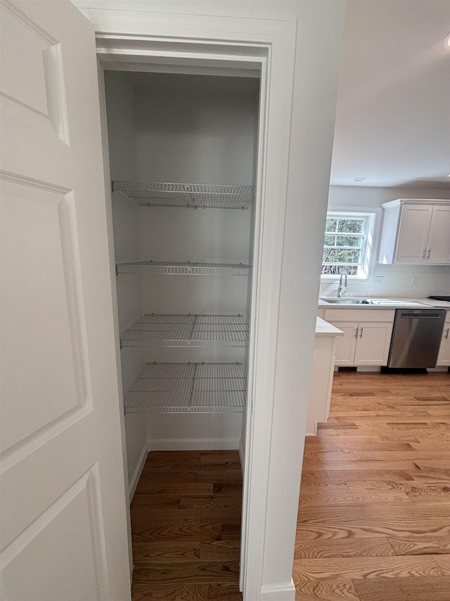 pantry featuring a sink