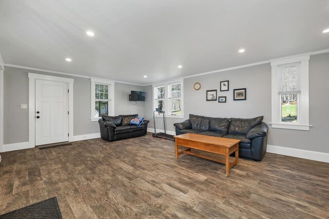 104 Pease Rd, Meredith, NH 03253 - living area with crown molding, baseboards, and wood finished floors