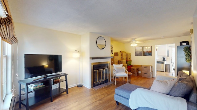 living room featuring a glass covered fireplace, ceiling fan, and light wood-style floors