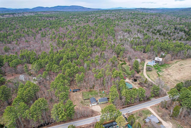 bird's eye view featuring a forest view and a mountain view