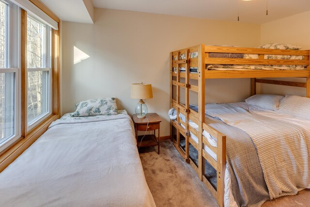 carpeted bedroom with multiple windows