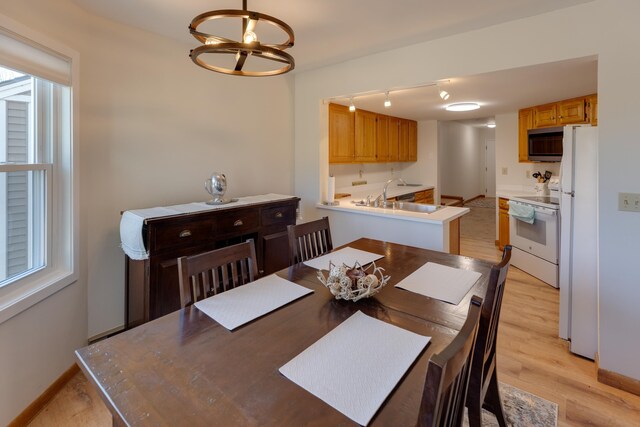 dining area with baseboards, track lighting, a wealth of natural light, and light wood finished floors