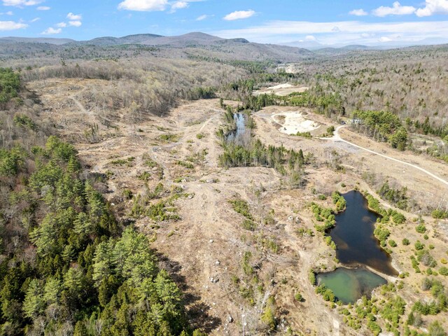 Bog Rd, Enfield, NH 03748