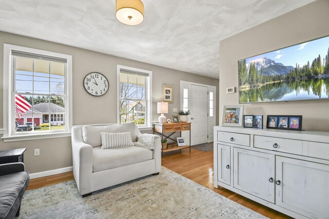 living area with baseboards and wood finished floors