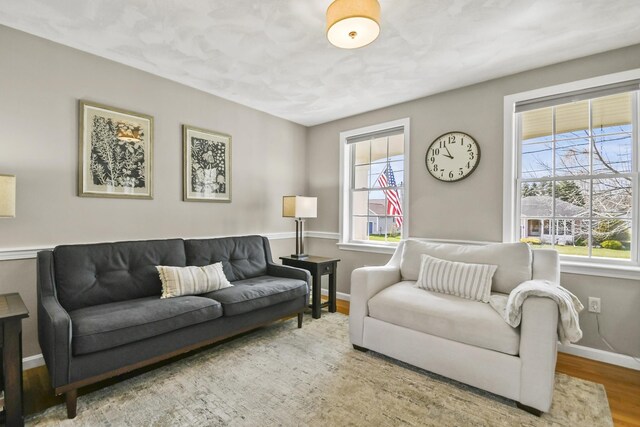 living room with baseboards, a wealth of natural light, and wood finished floors