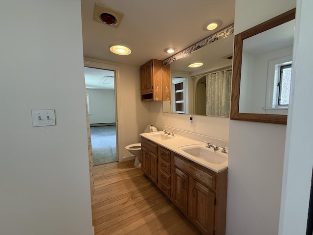 full bathroom featuring double vanity, a sink, and wood finished floors